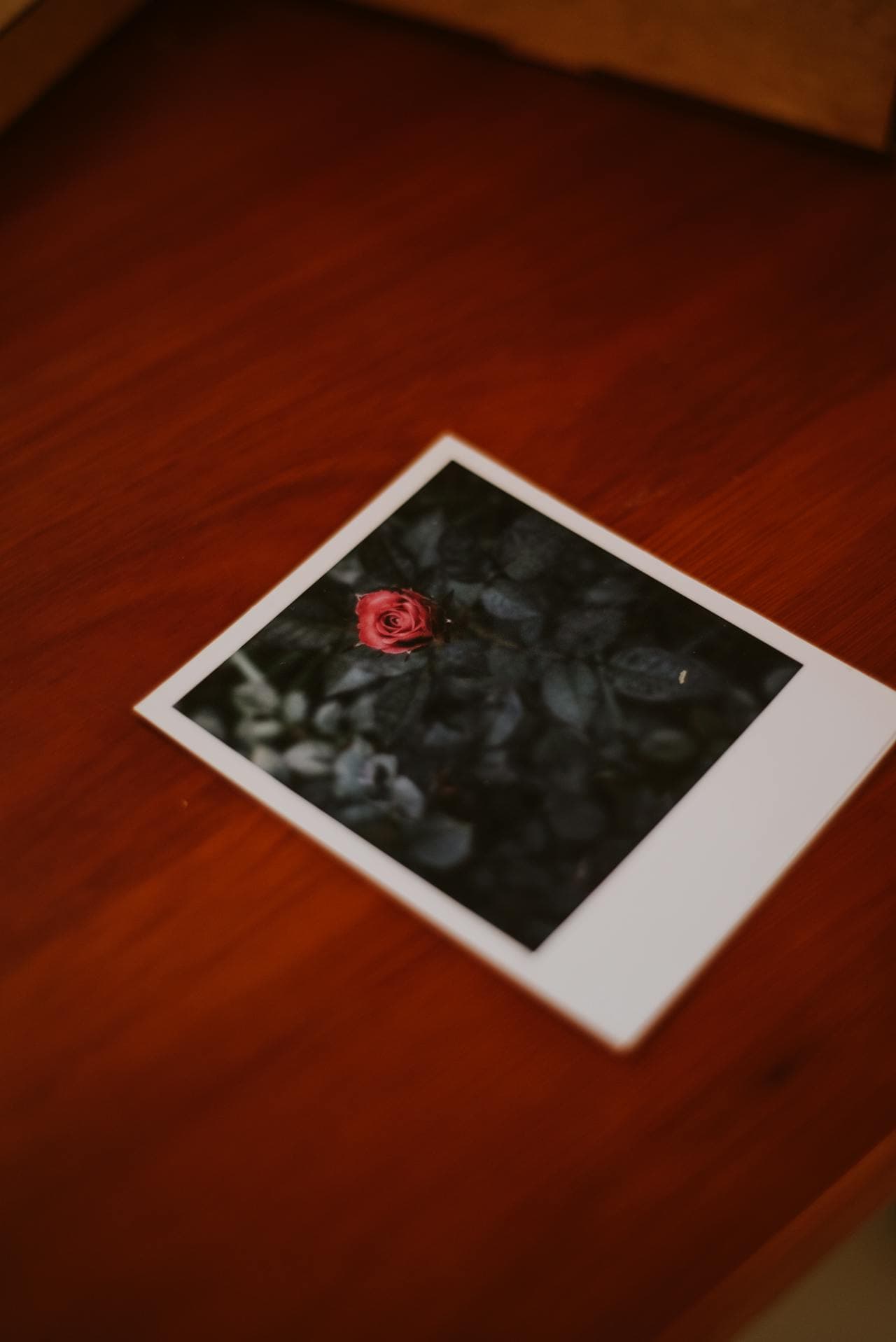 Digitalizacja fotografii - Innowacyjne Wsparcie